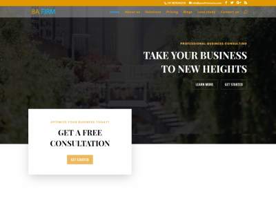 Consultant Website Templates